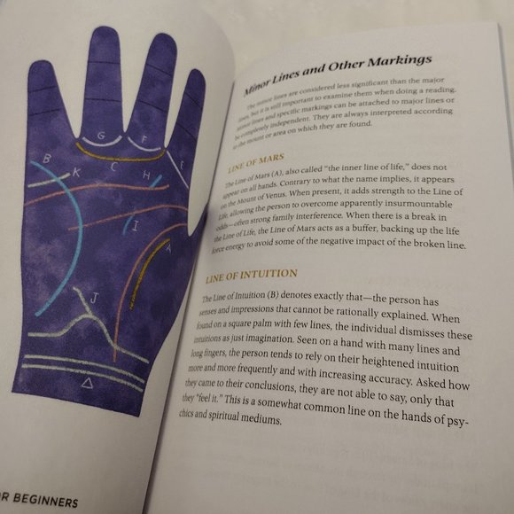 🌟 Palm Reading for Beginners - Picture 3 of 5